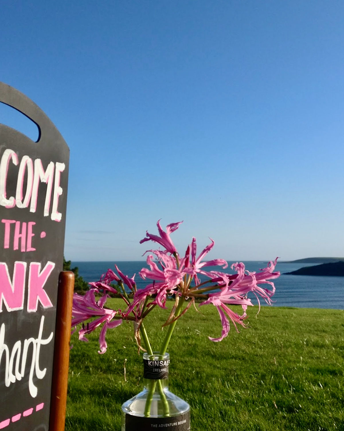 Welcome to the Pink Elephant sign